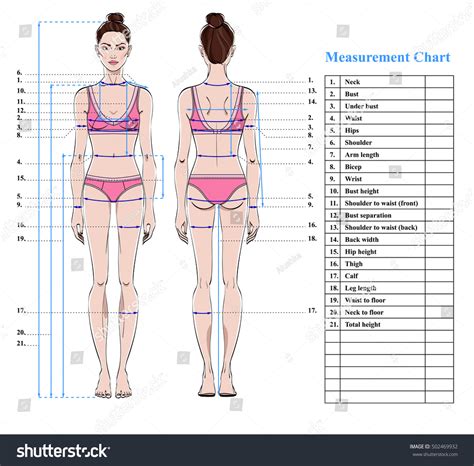 What are the ideal measurements for a model