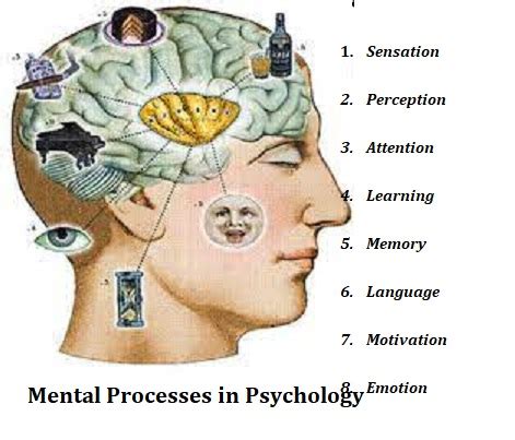 What are the mental processes in psychology