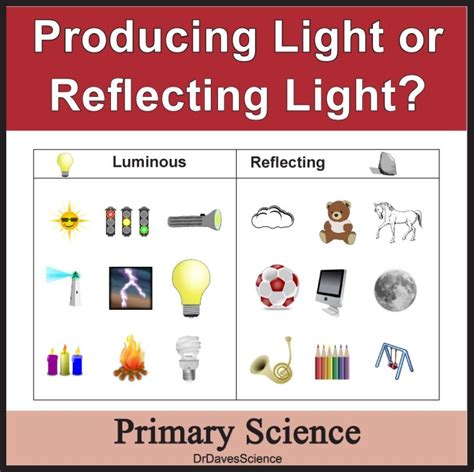 What are the objects that reflect light