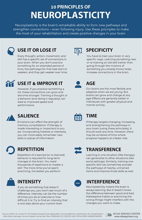 What are the principles of neuroplasticity
