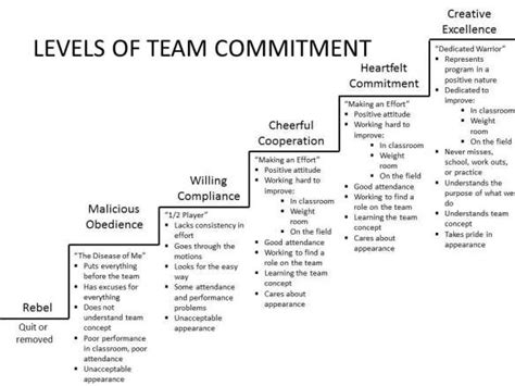 What are the six levels of commitment