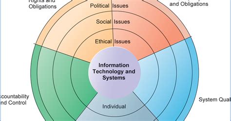 What are the social issues in information system