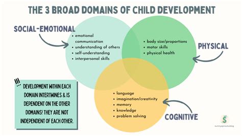 What are the three 3 domains of lifespan development