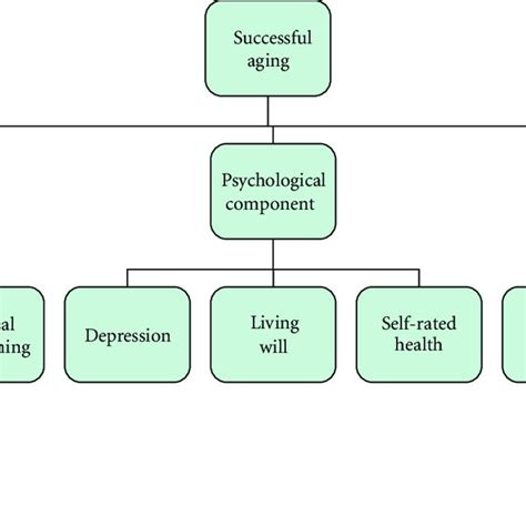 What are the three components of successful aging