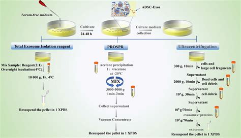 What are the three isolation techniques