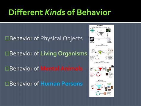 What are the two kinds of behavior that all organisms are capable of