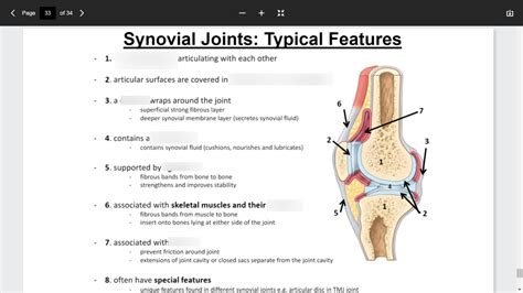 What are typical features