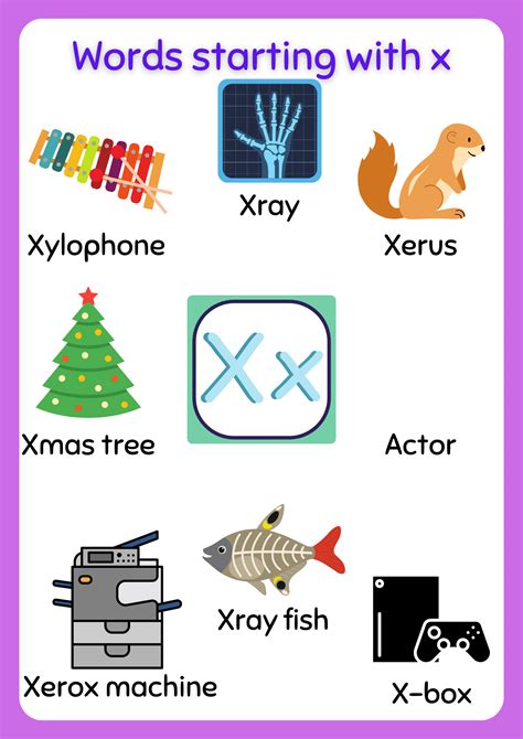 What are words that start with X