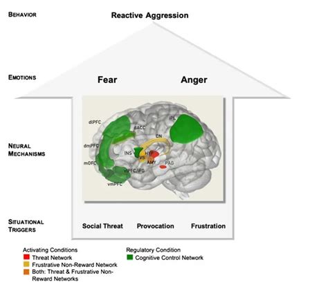 What brain injury causes aggression