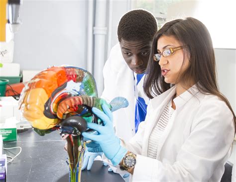 What can a degree in neuroscience do