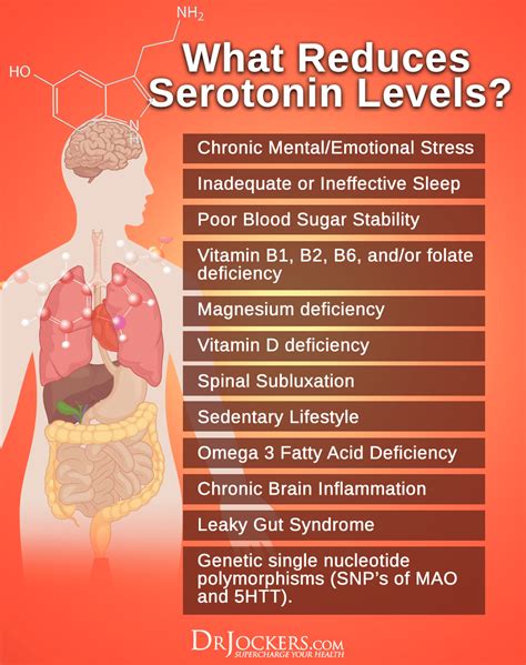 What can decrease serotonin levels