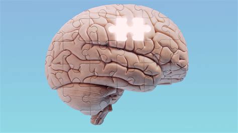 What can your brain do that goes beyond memory