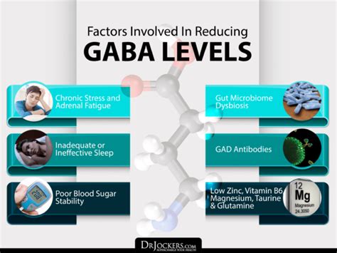 What causes low GABA levels in the brain
