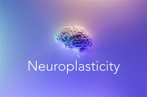 What causes neuroplasticity