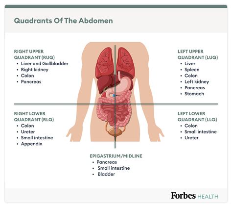 What causes stiffness in the lower abdomen