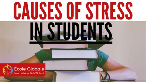 What causes you stress as a student