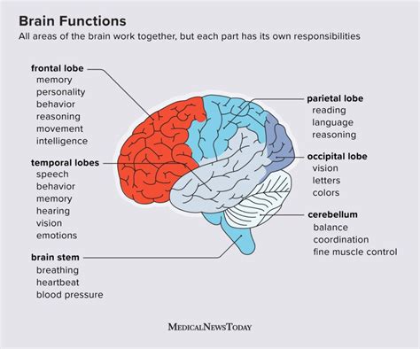 What comes first affect or cognition