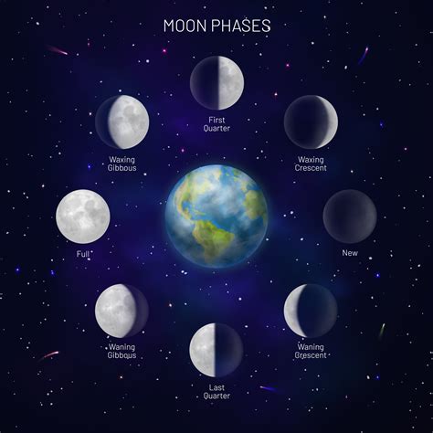 What cycle is the moon in right now