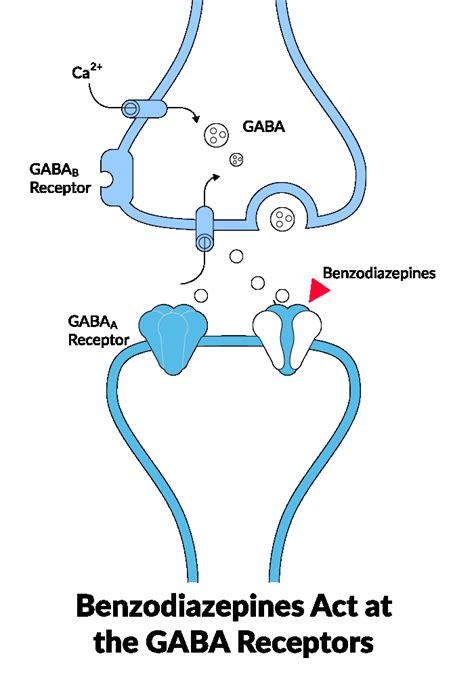 What do Benzos Gaba do