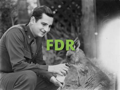 What does FDR mean