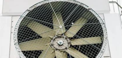 What does Fan mean in text