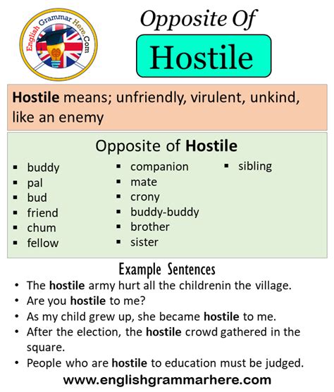What does Hostile mean in a sentence