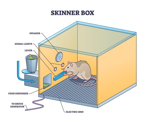 What does Skinner box mean