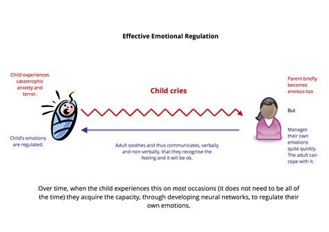 What does affect regulation mean