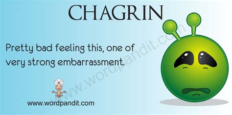 What does chagrin mean in a sentence