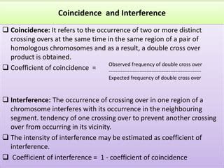 What does in coincidence mean