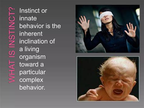 What does inherited instinct mean