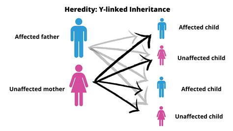 What does inherited mean