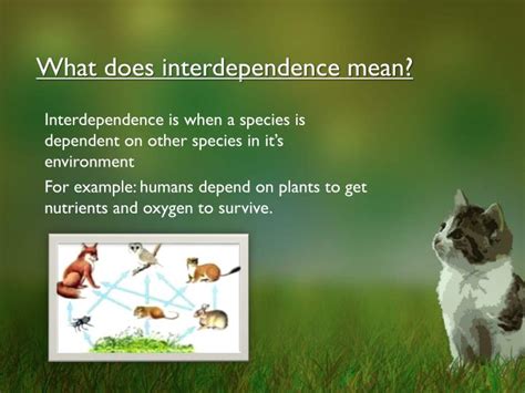 What does interdependence mean in science
