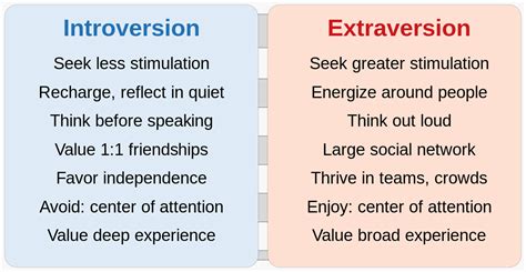 What does it mean to be extraversion