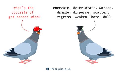 What does it mean when someone gets a second wind
