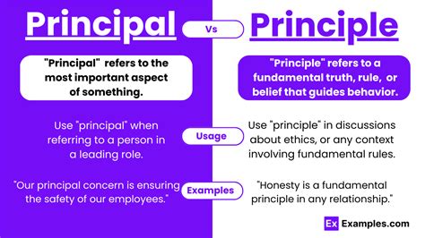 What does it mean when someone says its the principle of things