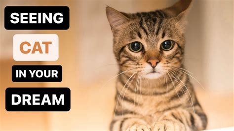 What does it mean when you see a cat in your dream