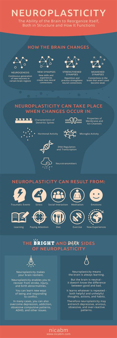 What does neuroplasticity do to your brain
