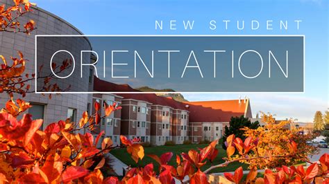 What does orientation mean in college