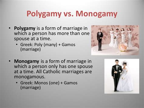 What does polygamy monogamy mean