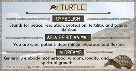 What does turtle mean in Hebrew