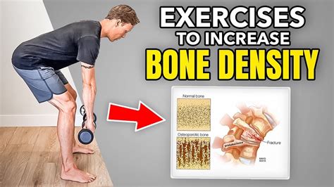 What exercises increase bone density