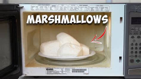 What experiments can you do with marshmallows