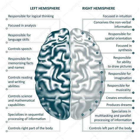 What functions are controlled by the right hemisphere