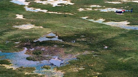 What happened to the plane that crashed in the Everglades