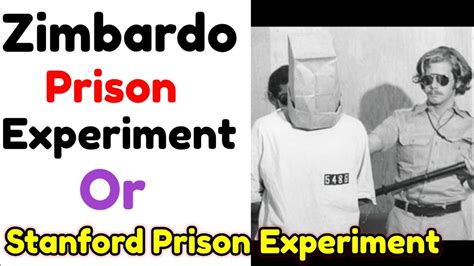 What happened to the prisoners in the Zimbardo experiment