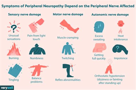 What happens if the peripheral nervous system is damaged