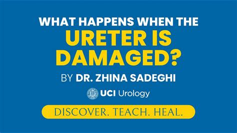 What happens if ureter is damaged