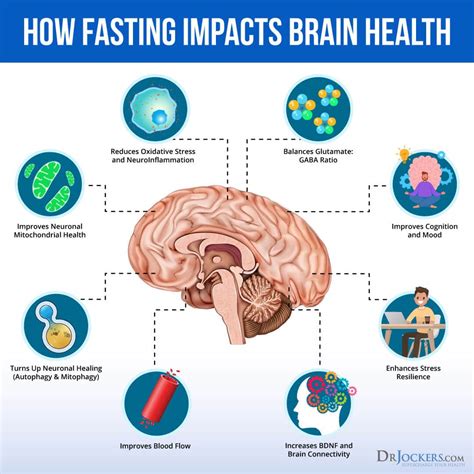 What happens to your brain when fasting