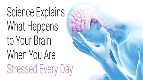 What happens to your brain when you stretch